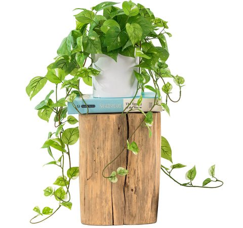 MY ROVALA pot-included silk plant for instant indoor decor and easy setup