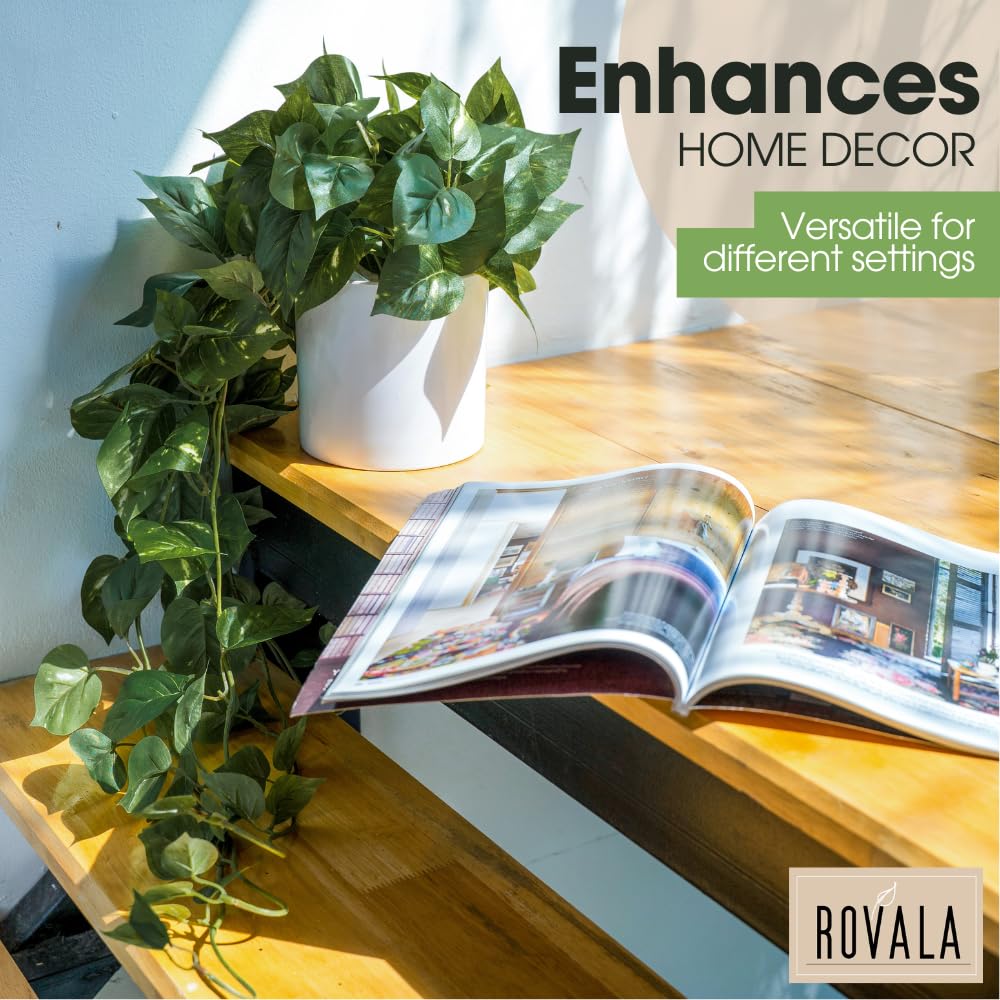 MY ROVALA room decor plant adds year-round greenery without upkeep
