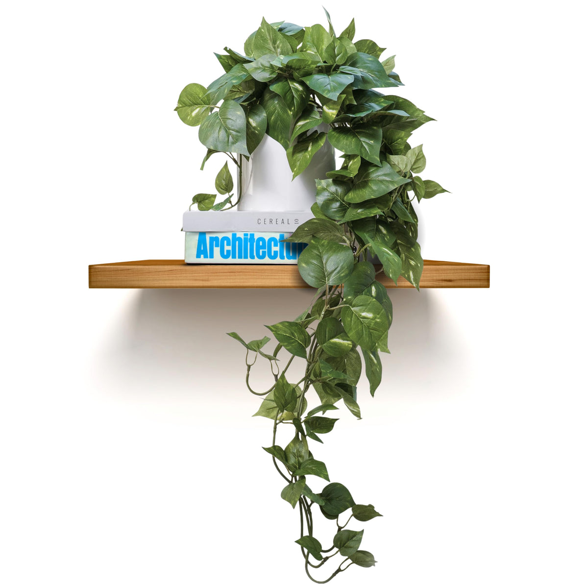 MY ROVALA silk plants in a white pot for quick shelf decor