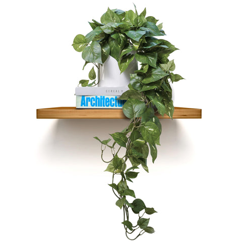 MY ROVALA silk plants in a white pot for quick shelf decor