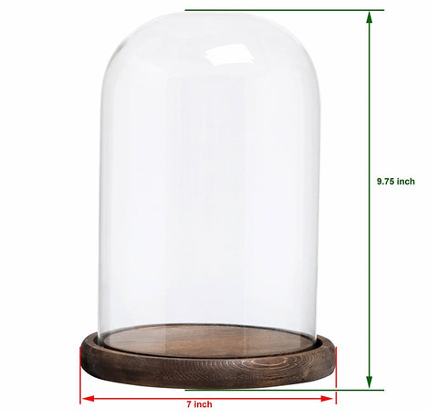 MyGift bell jar interior space ideal for displaying small items