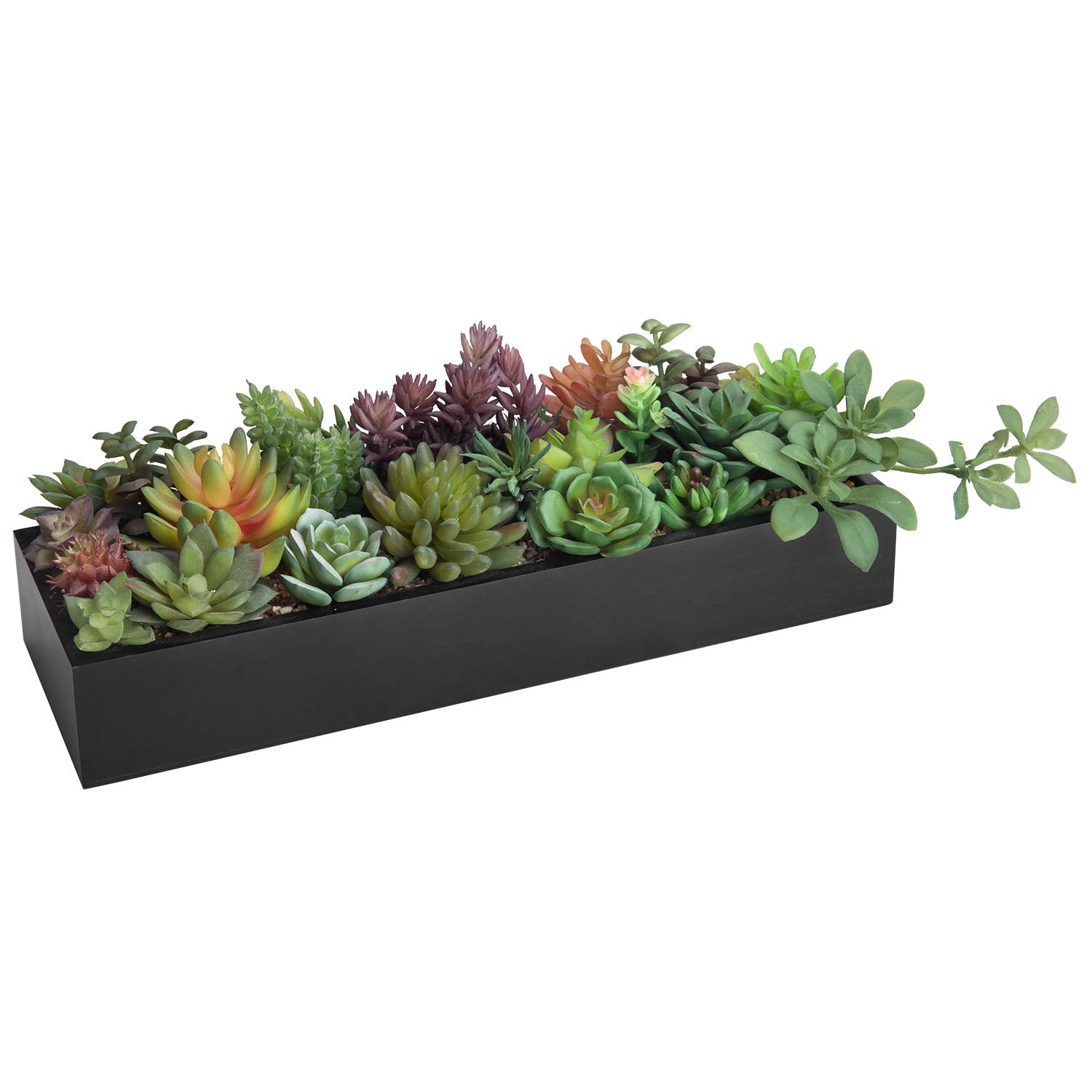 MyGift black wooden planter creates dramatic contrast for stylish decor.