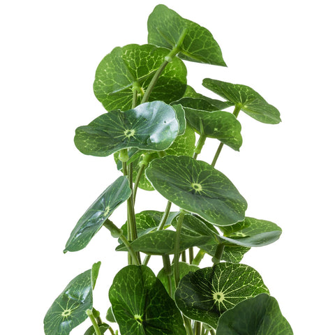 MyGift microfiber cloth included helps keep glass pots spotless.