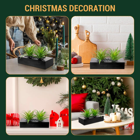 MyGift low-maintenance greenery ideal for reception areas and corners