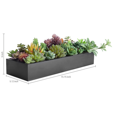 MyGift requires no upkeep, offering a 15.75-inch centerpiece with little maintenance.