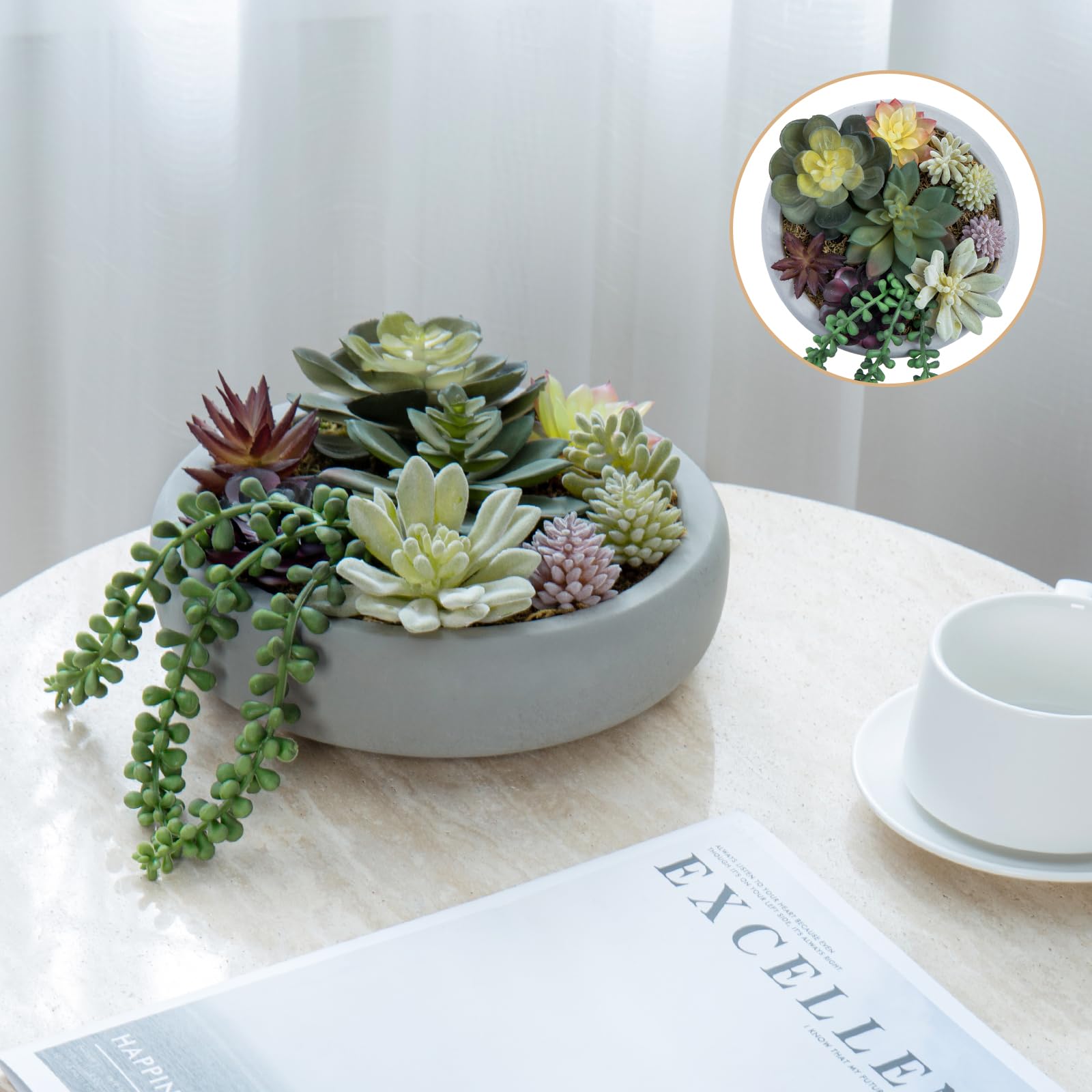 MyGift no-watering plant arrangement reduces mess while keeping visual interest.