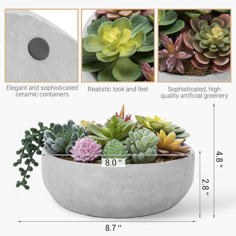 MyGift window-sill display brings greenery without maintenance to brighten rooms.