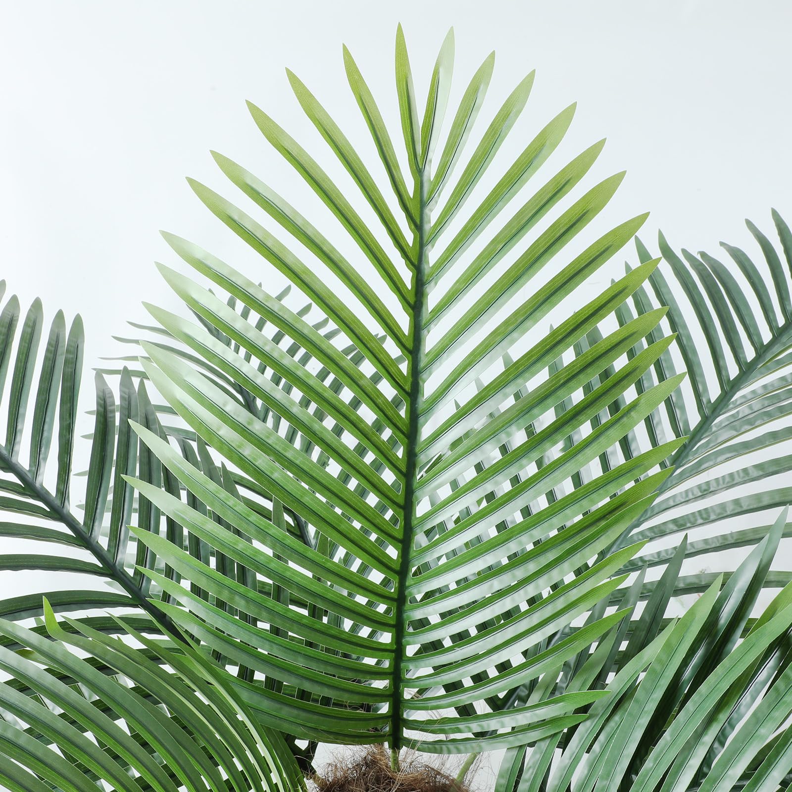 Nafresh 8ft palm tree full-height display in a living room setup