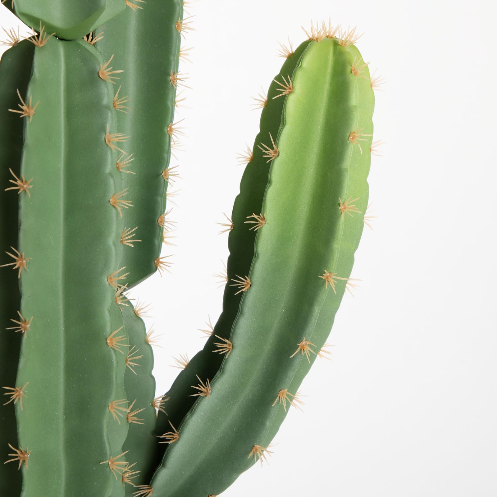 Nafresh cactus close-up texture highlights lifelike leaves and safe soft spines.
