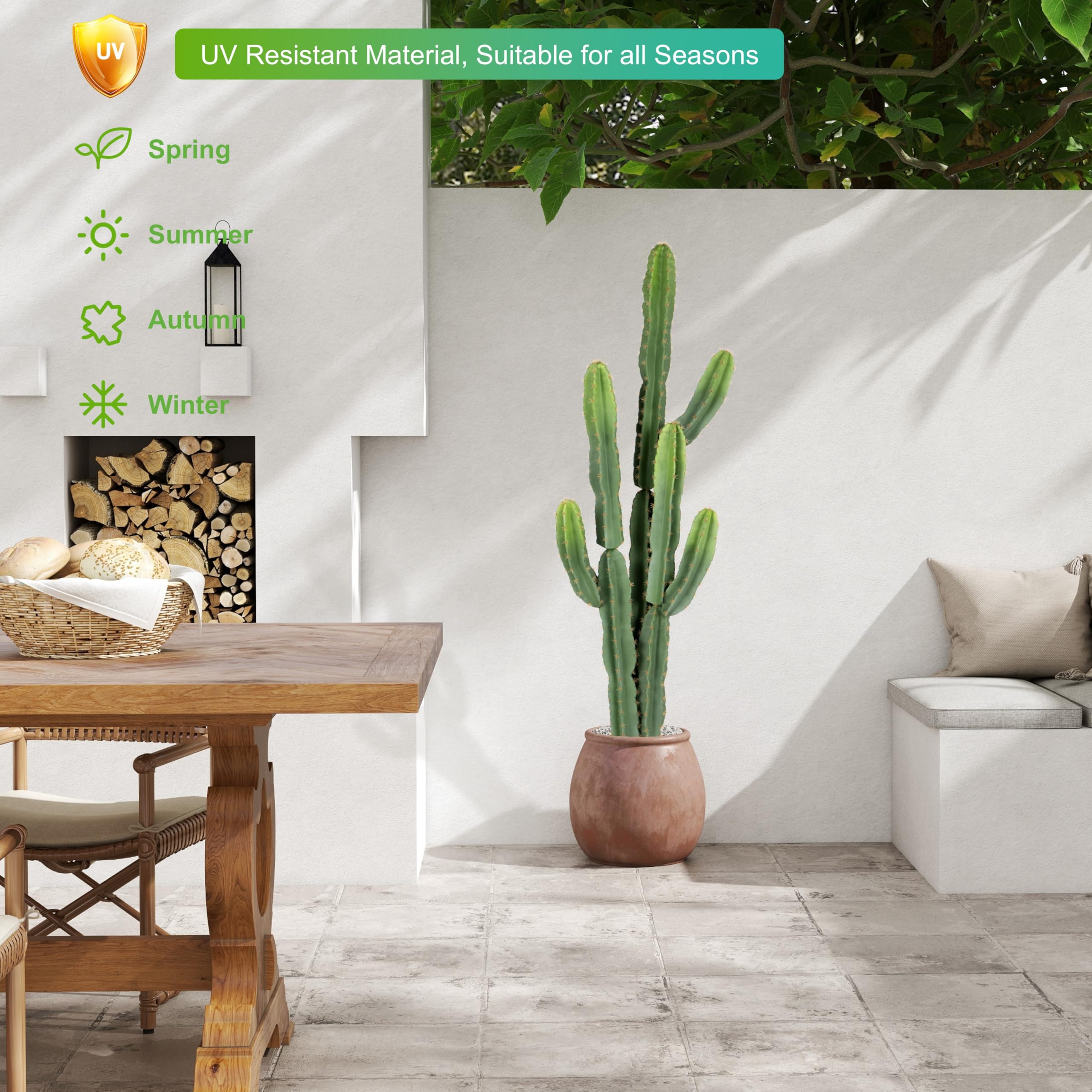 Nafresh cowboy cactus in living room adds rustic charm and greenery.