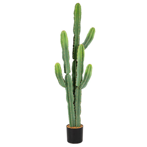 Nafresh UV-resistant cowboy cactus outdoors showing year-round color retention.