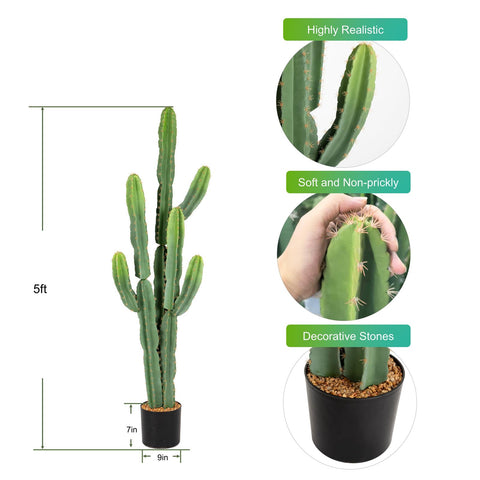 Nafresh 5ft cactus on patio boosts outdoor ambiance and color.