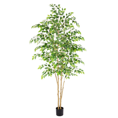 Nafresh 7ft Ficus Tree in pot adds natural greenery to any room