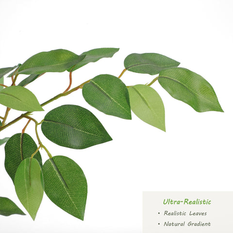 Nafresh 7ft ficus in a room setting creates a lush focal point