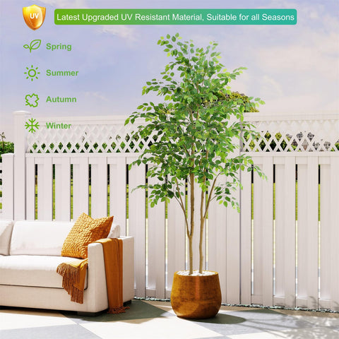 Assembled Nafresh ficus tree shows full natural shape with spread branches