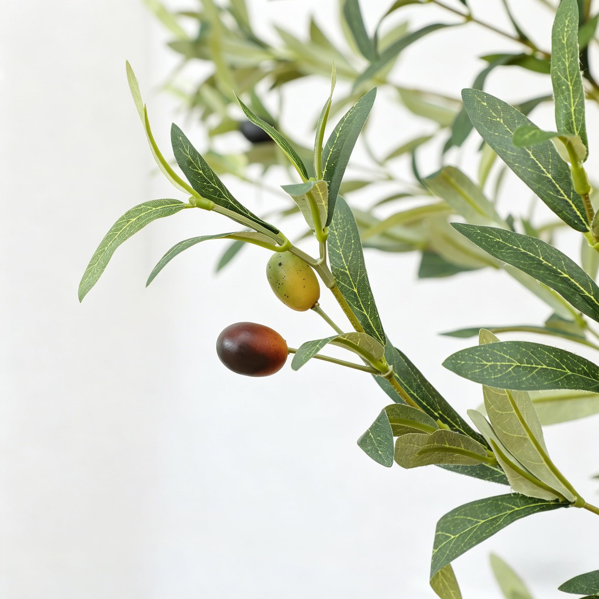 Nafresh olive tree full plant on stand adds greenery.