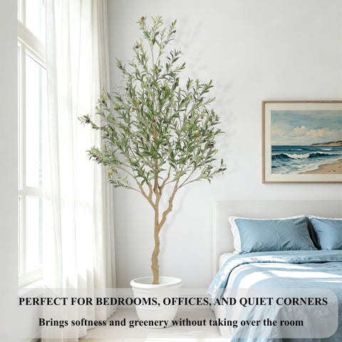 Nafresh olive tree office decor brings nature to work.