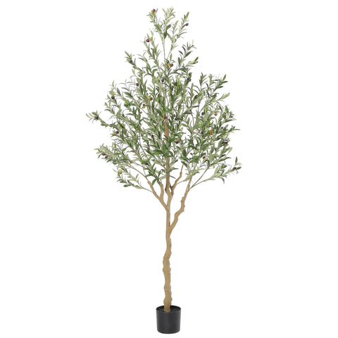 Nafresh tall olive tree 7ft with silk leaves enhances living room ambiance.