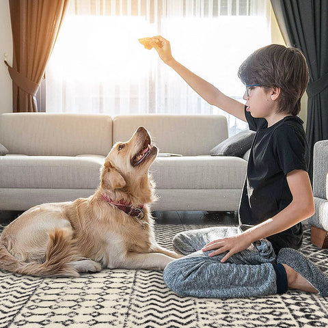 Nailttos machine-washable rug enables quick cleanups after spills.