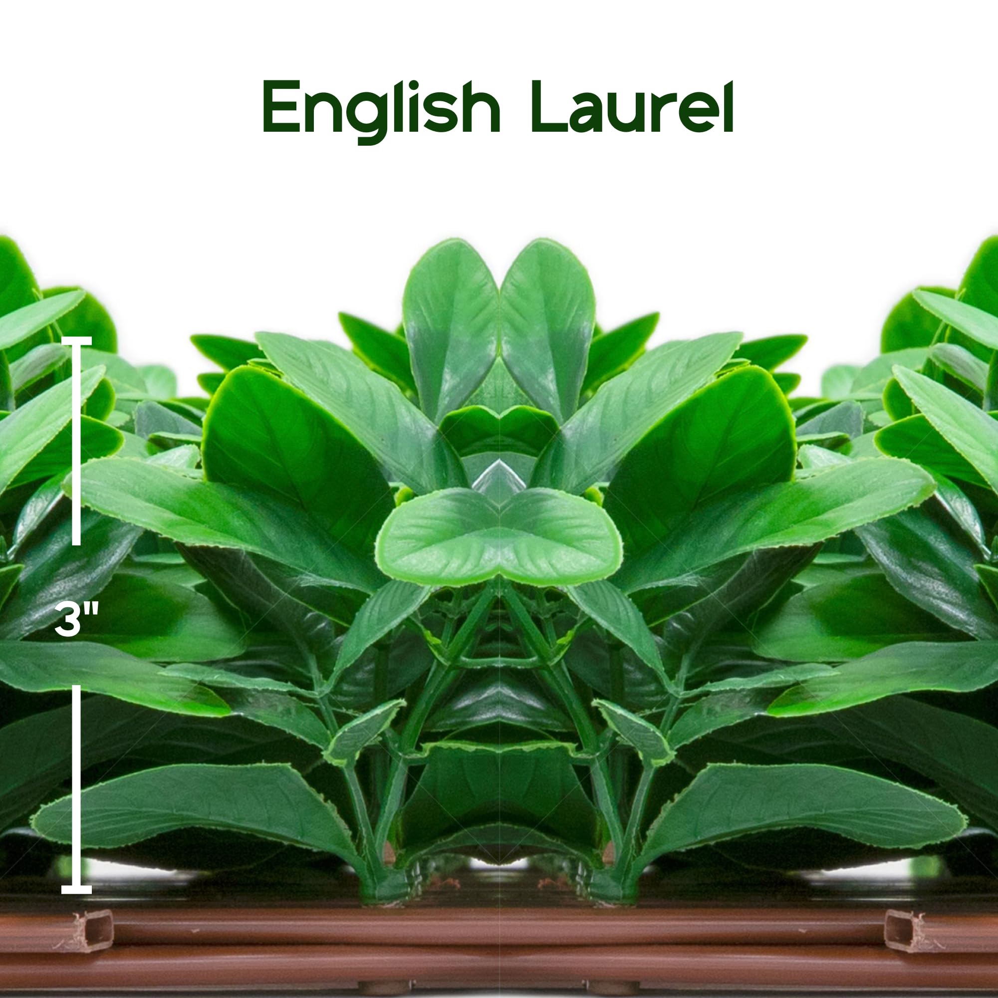 NatraHedge expandable lattice privacy screen offers flexible, easy installation.
