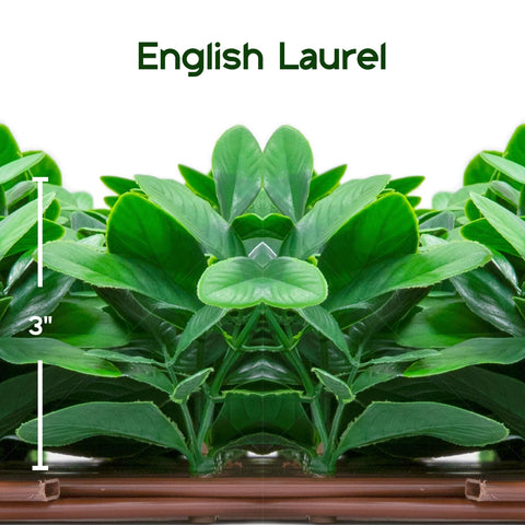 NatraHedge expandable lattice privacy screen offers flexible, easy installation.