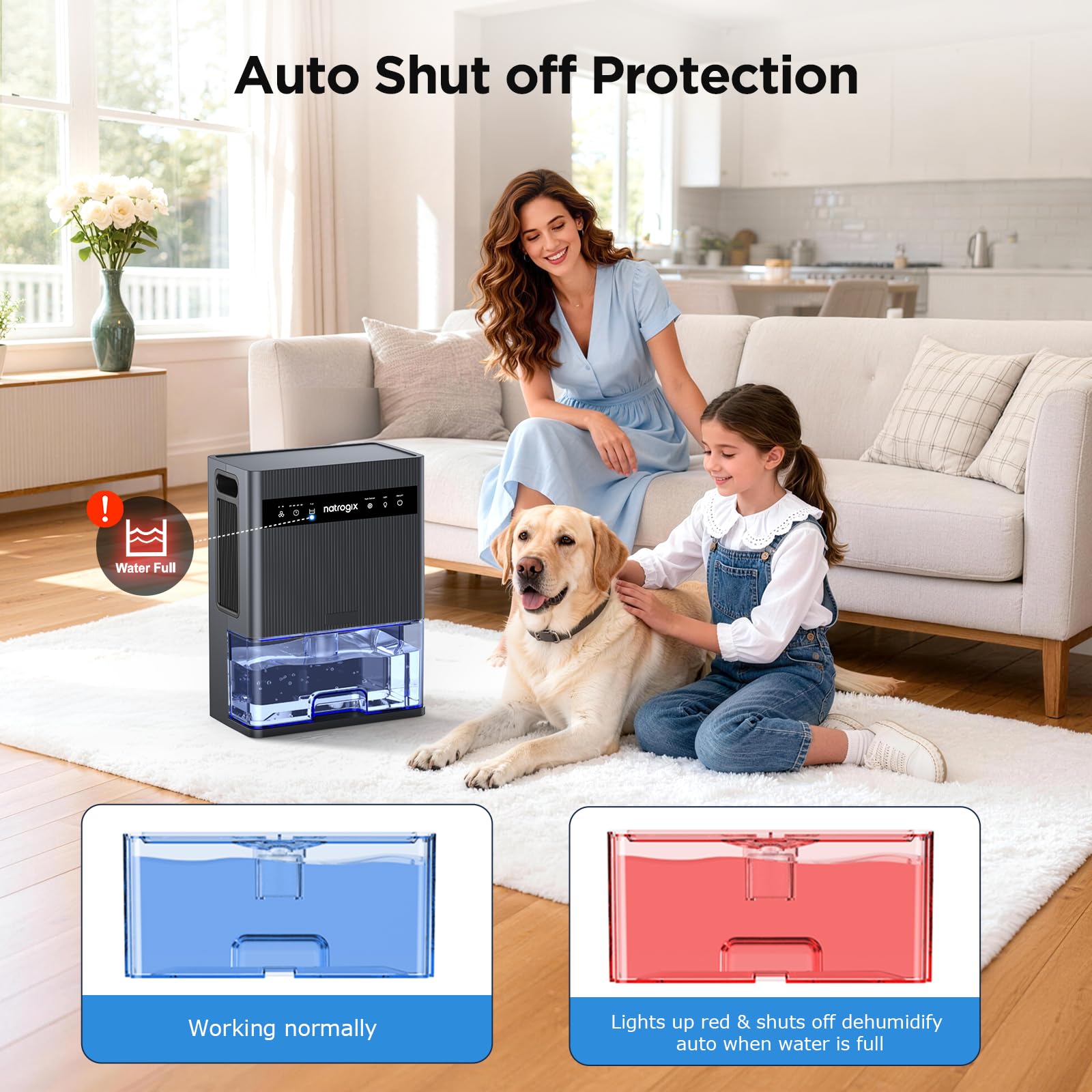 Ideal for bedrooms and basements with quiet operation for restful spaces.