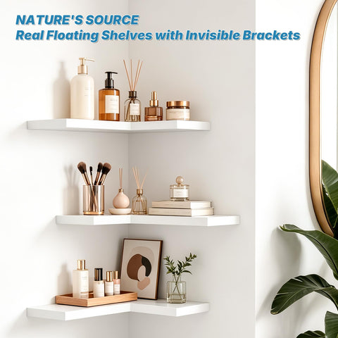 NATURE'S SOURCE Paulownia wood shelves are lightweight yet sturdy for plants and photos.