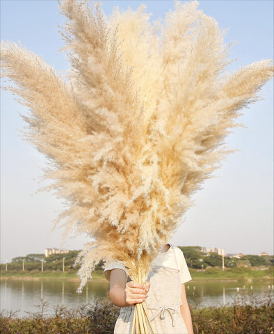 Naunauya 10-stem 46-inch pampas grass decor adds airy texture to living rooms.