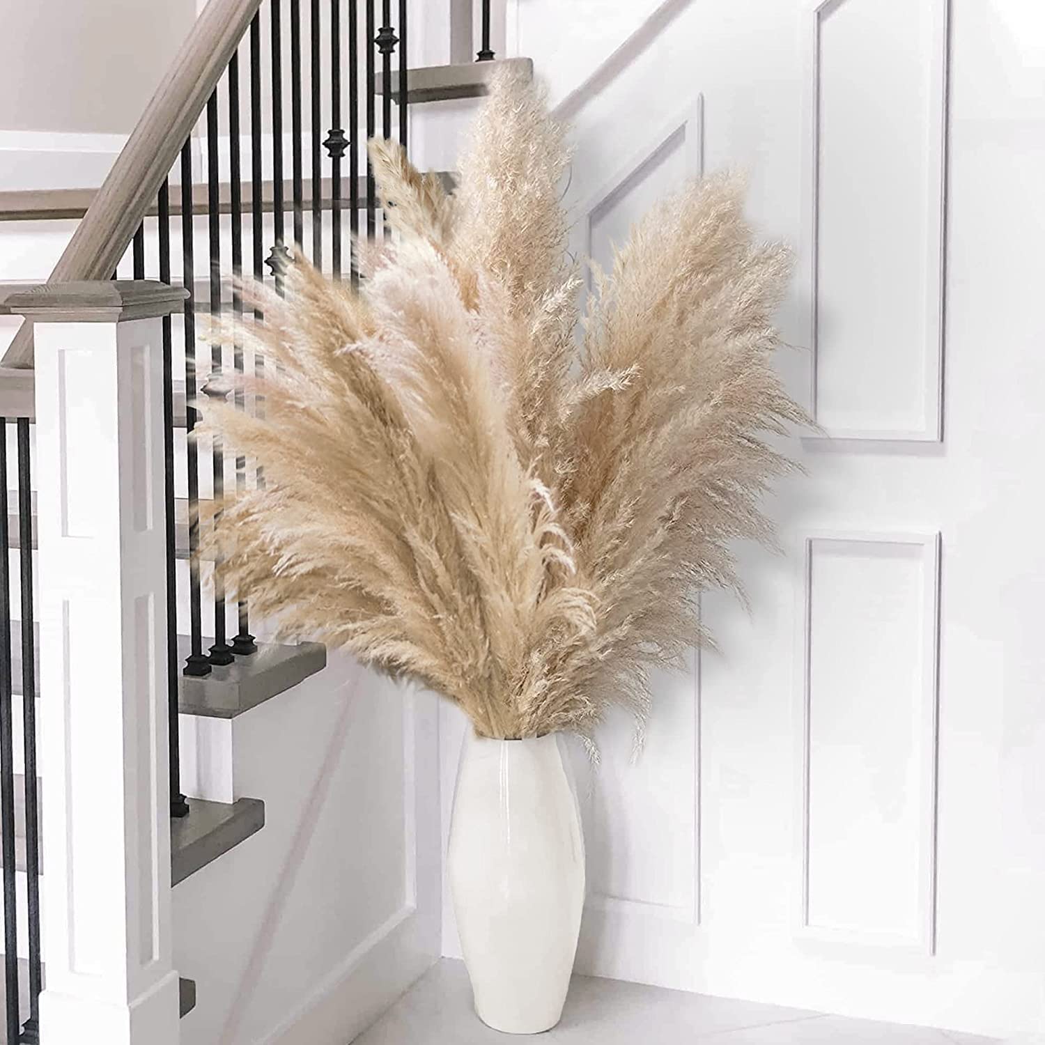 Naunauya pampas decor for bedrooms and living rooms adds organic charm.