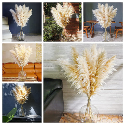 Naunauya boho neutral pampas grass adds soft texture to wedding decor.