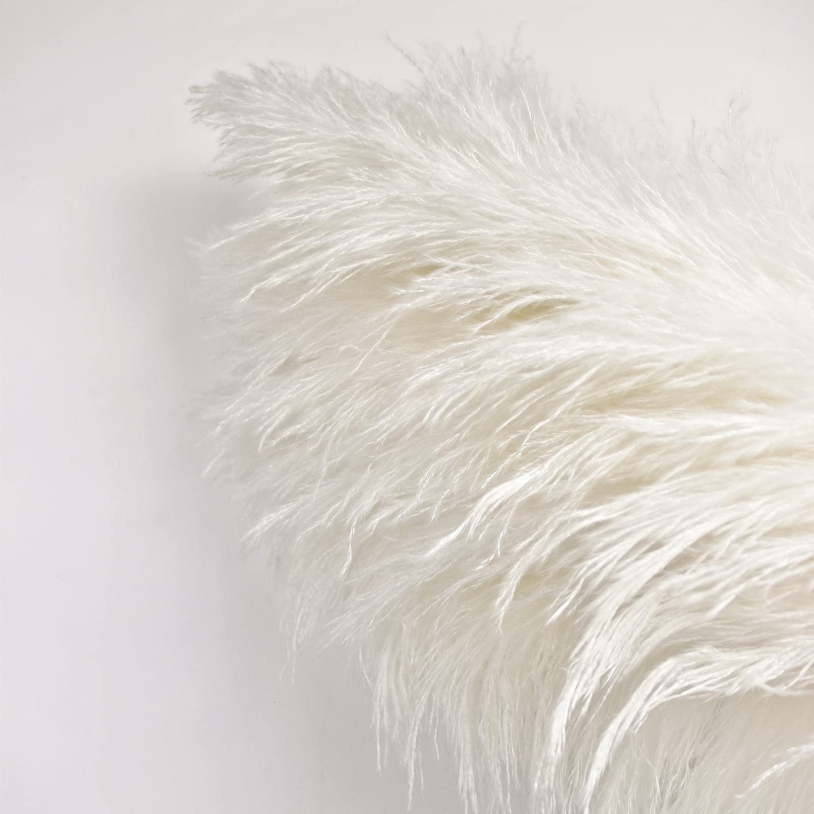 Naunauya dried pampas grass ideal for neutral home accents.
