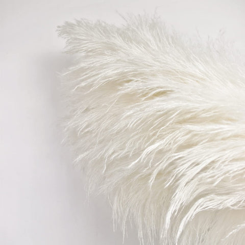 Naunauya dried pampas grass ideal for neutral home accents.