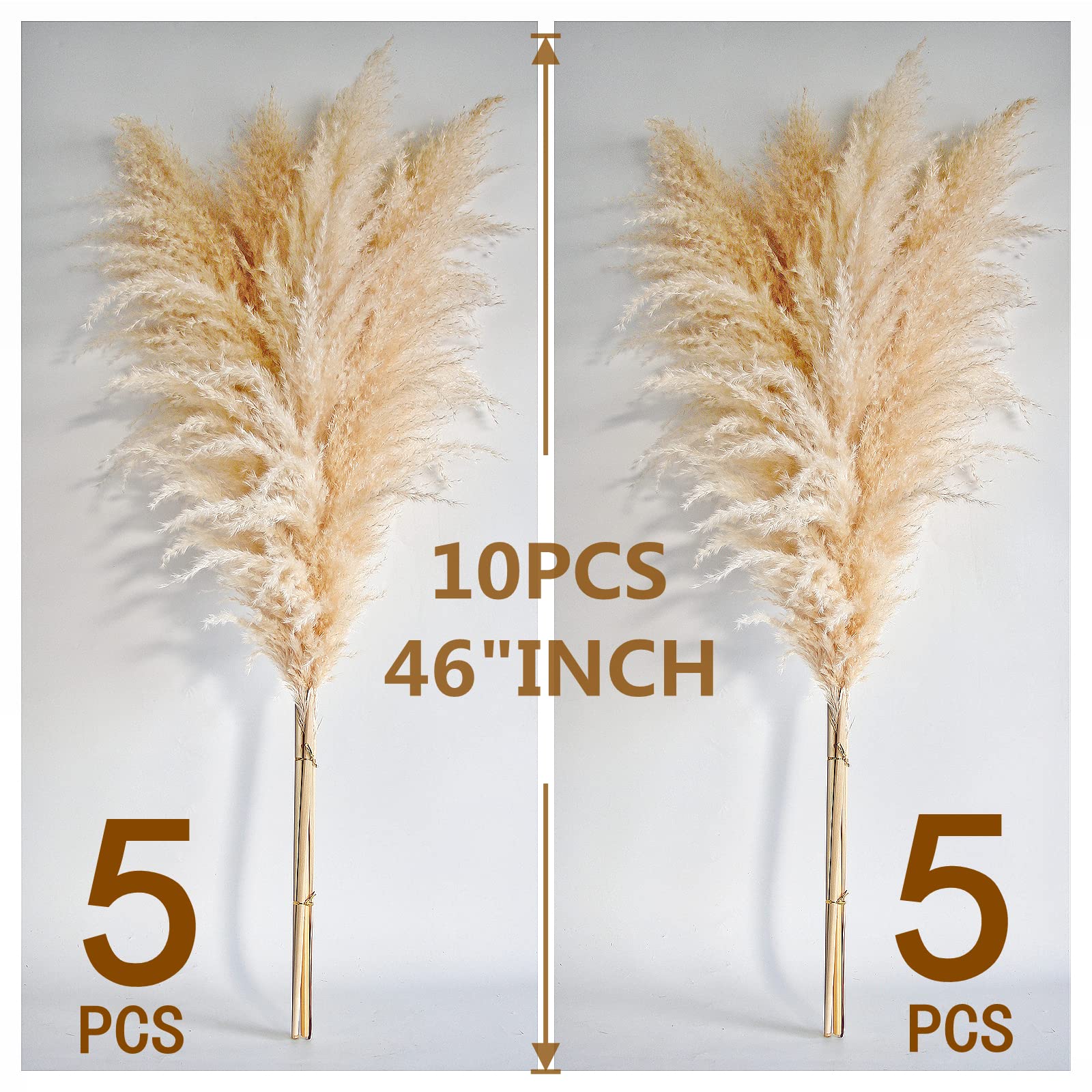 Naunauya beige dried pampas bouquet brings natural warmth to mantels.