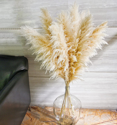 Naunauya large pampas grass floor vase decor brings elegant height to spaces.