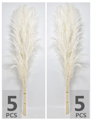 Naunauya fluffy pampas grass for boho wedding and centerpiece arrangements.