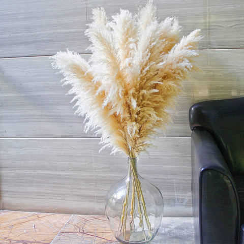 Naunauya tall pampas grass floor vase creates a natural focal point in entryways.