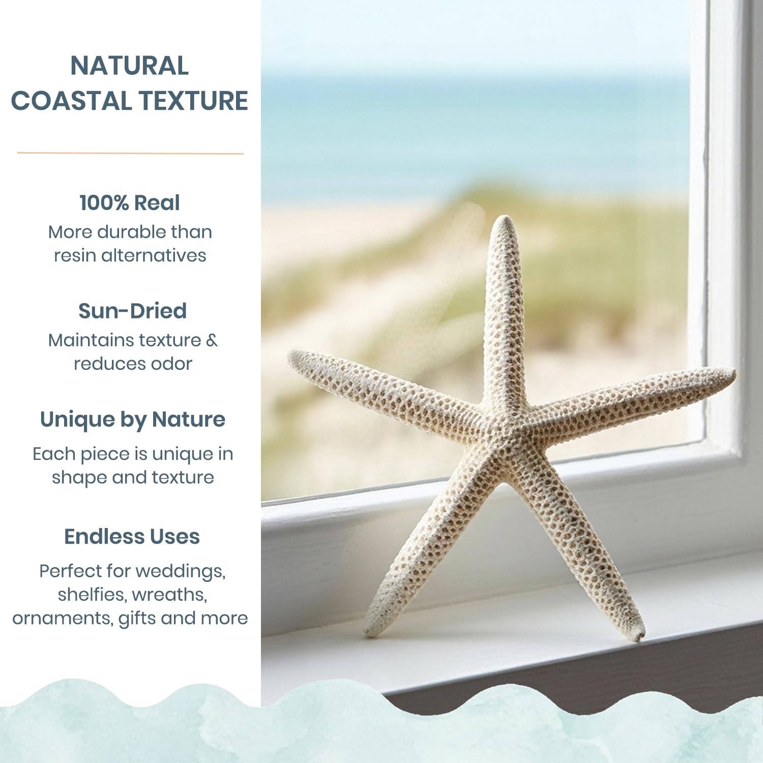 Nautical Crush starfish 6-8 inches provides natural texture for beach tables or crafts.