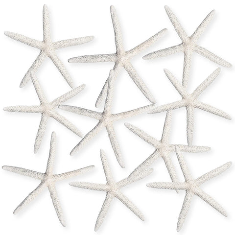 Nautical Crush starfish shells enhance nautical displays and sea-inspired projects.