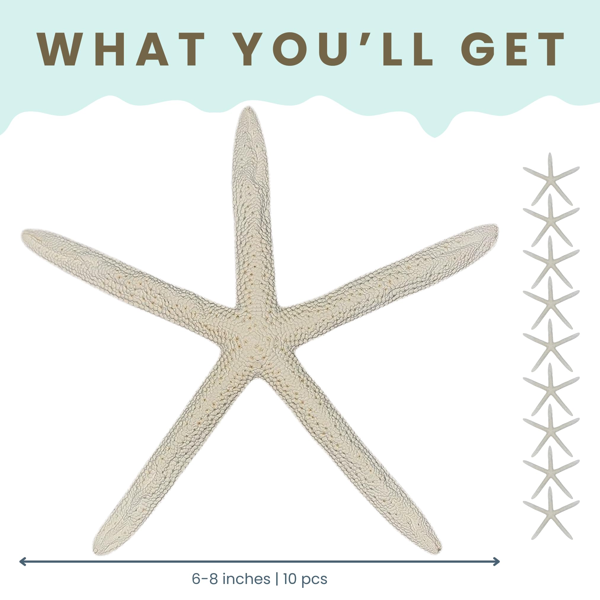 Nautical Crush starfish table decor creates coastal focal points for gatherings.
