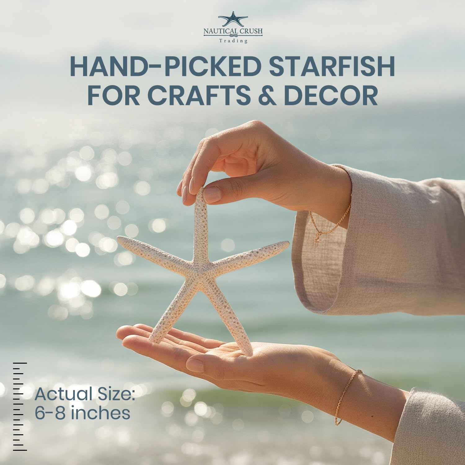 Nautical Crush starfish wall decor adds organic seaside charm to any room.