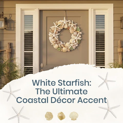 Nautical Crush starfish for beach weddings brings natural elegance to celebrations.