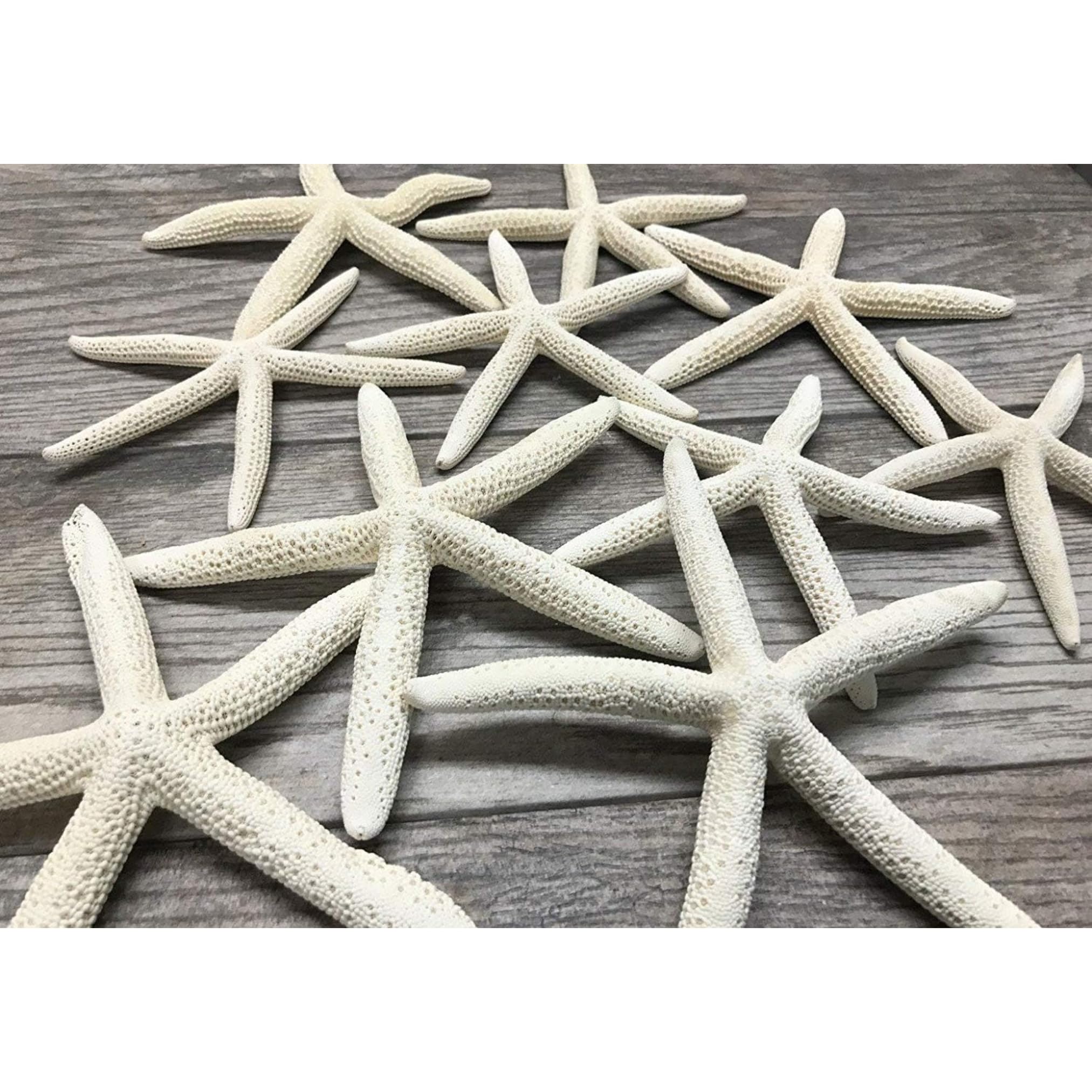 Nautical Crush Trading starfish decor 10-pack for coastal centerpieces and wall accents.