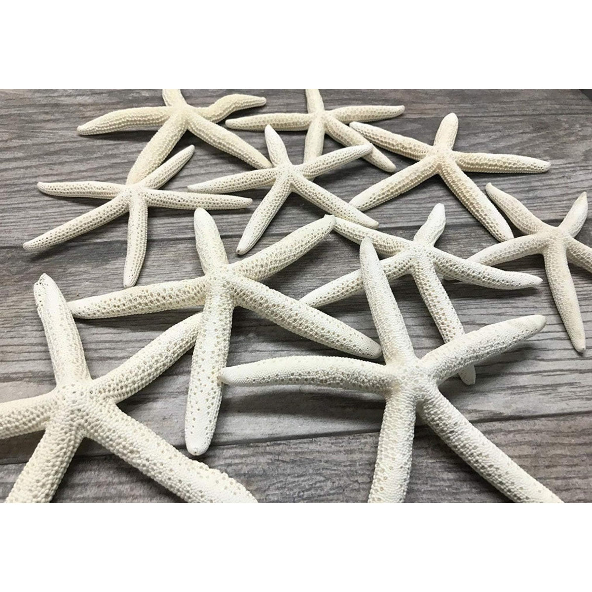 Nautical Crush Trading starfish decor 10-pack for coastal centerpieces and wall accents.