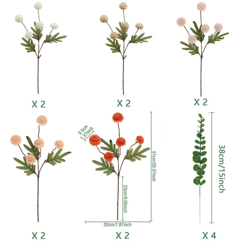 Neabuler eucalyptus branches with four stems for natural decorating.