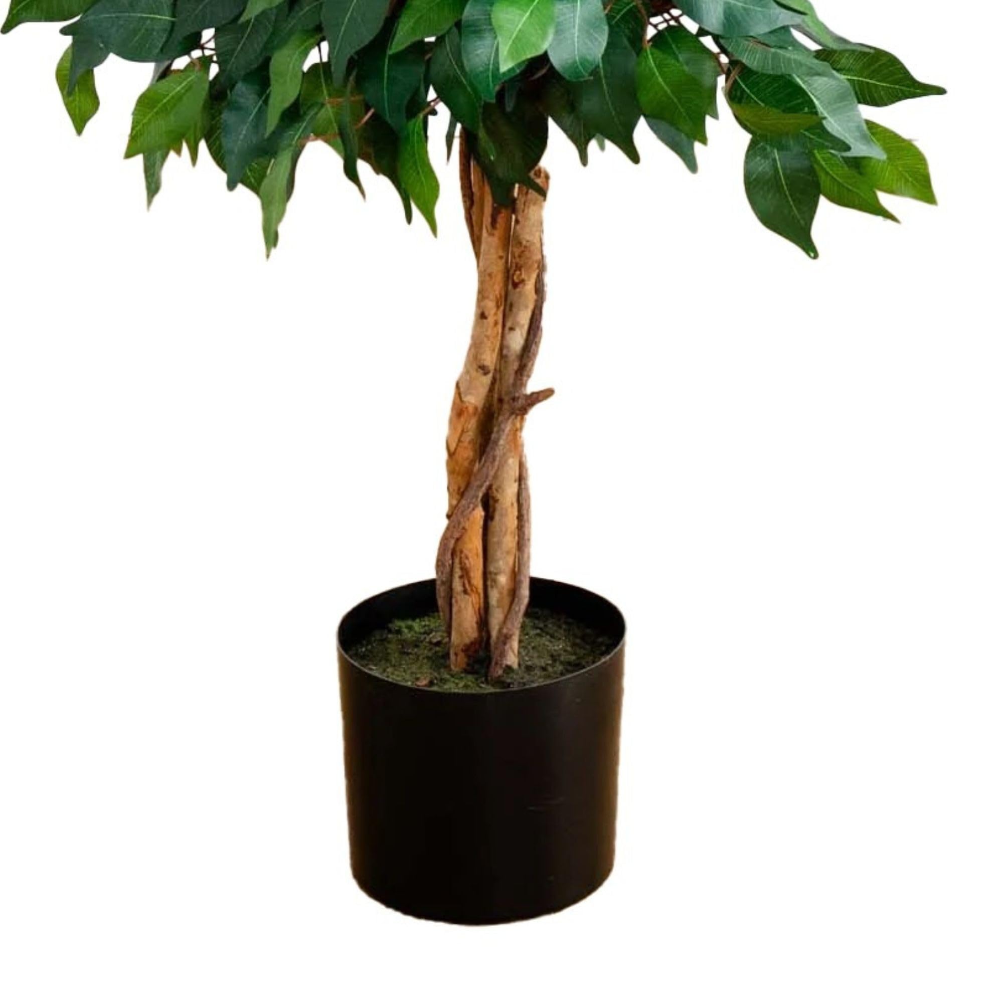 Nearly Natural black nursery pot provides a modern, tidy base.