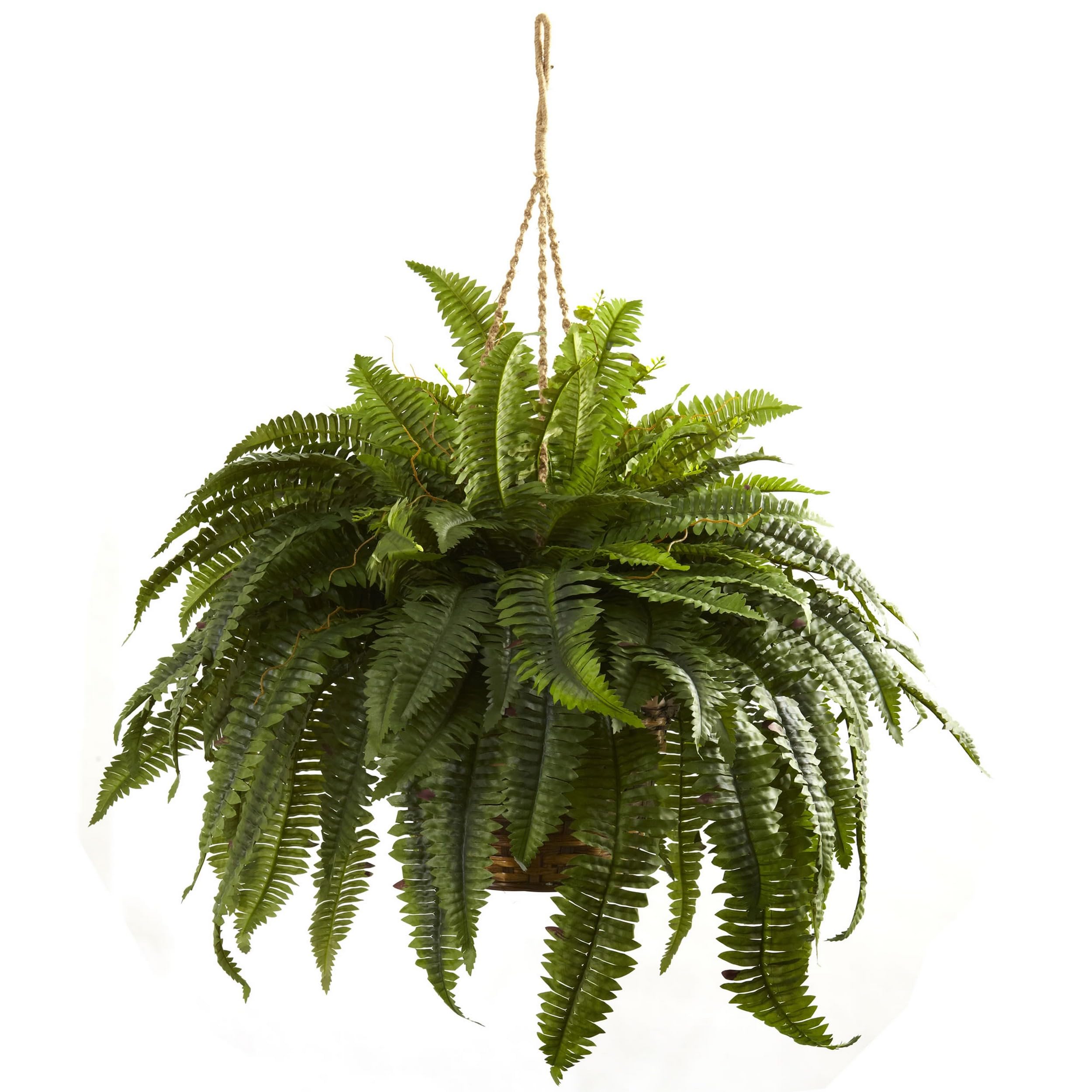 Nearly Natural Boston Fern leaves close-up showing realistic texture.