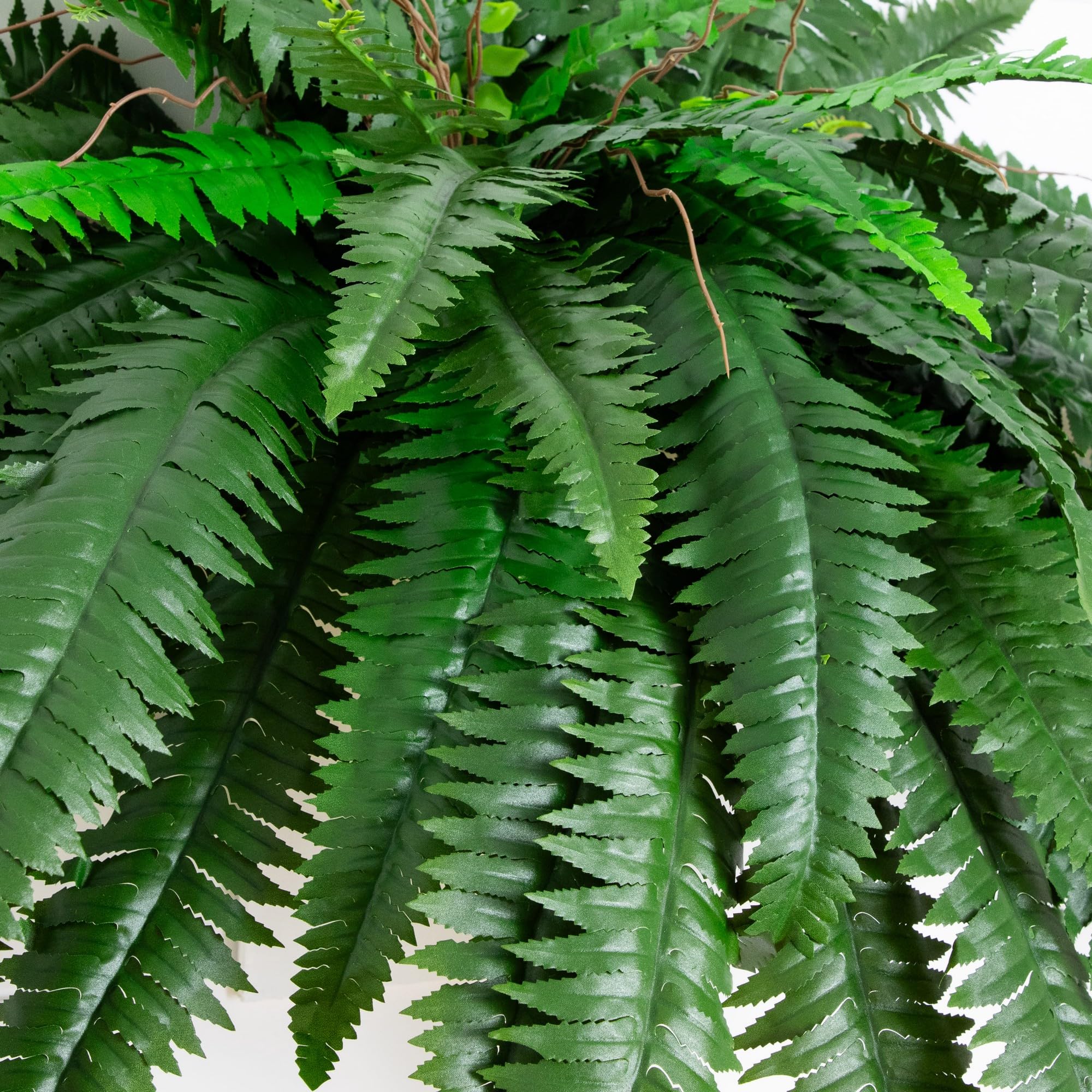 Nearly Natural Boston Fern set of 2 wall decor adds symmetrical greenery.