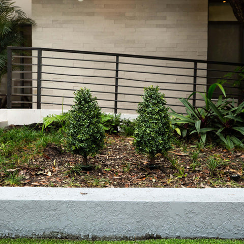 Nearly Natural duo of boxwood plants for versatile indoor-outdoor use.