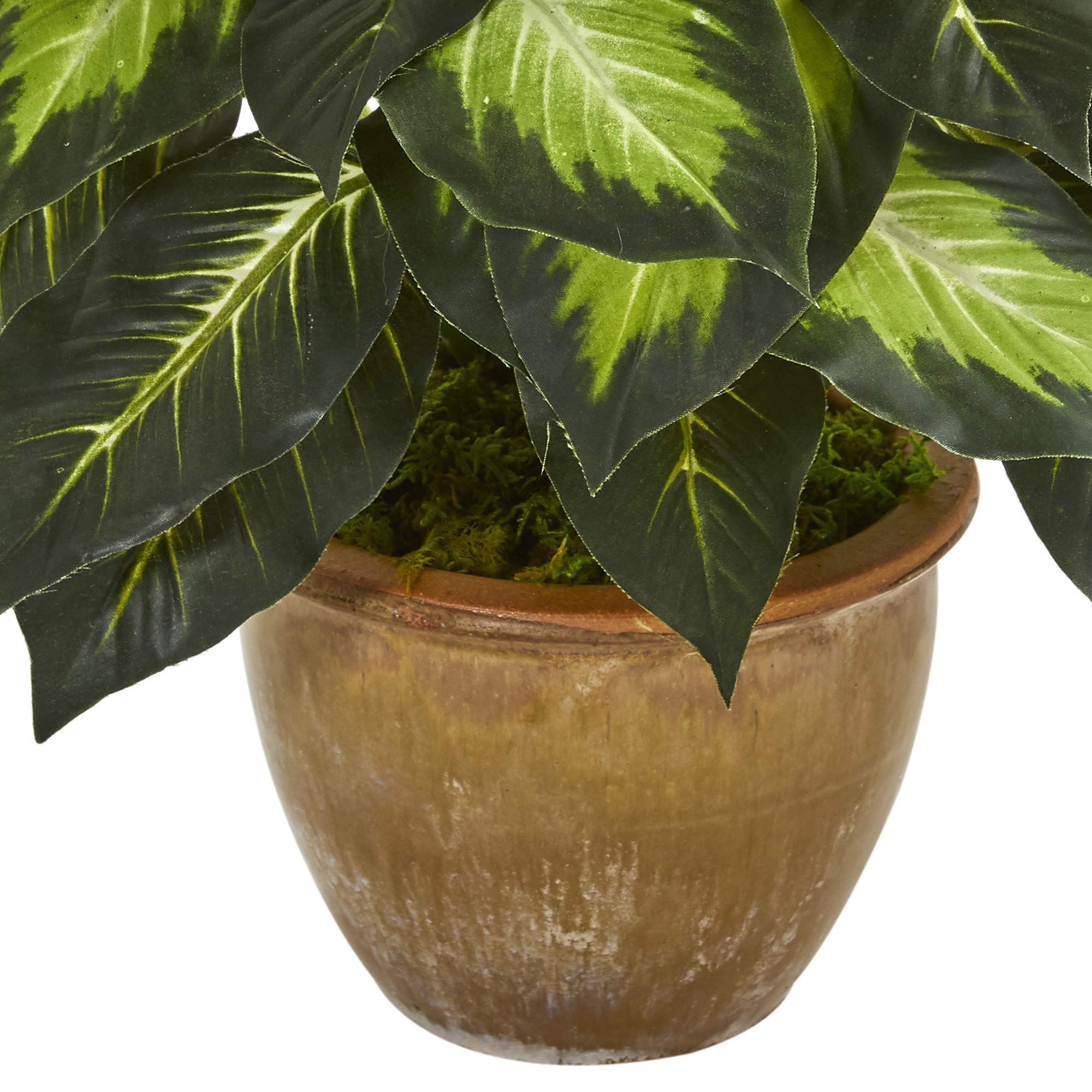 Nearly Natural ceramic planter with moss enhances authentic indoor display.