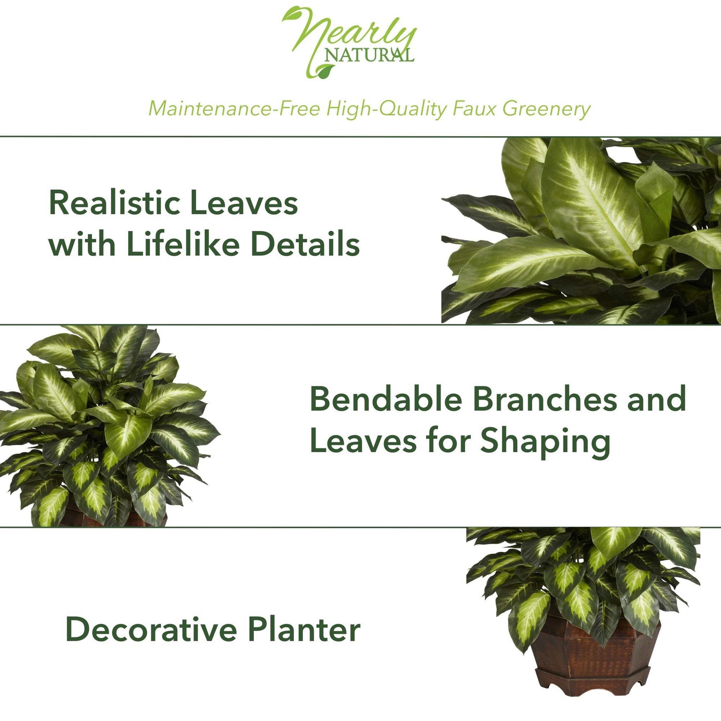 Dieffenbachia emerald leaves close up showcases rich color variation for realistic indoor decor.